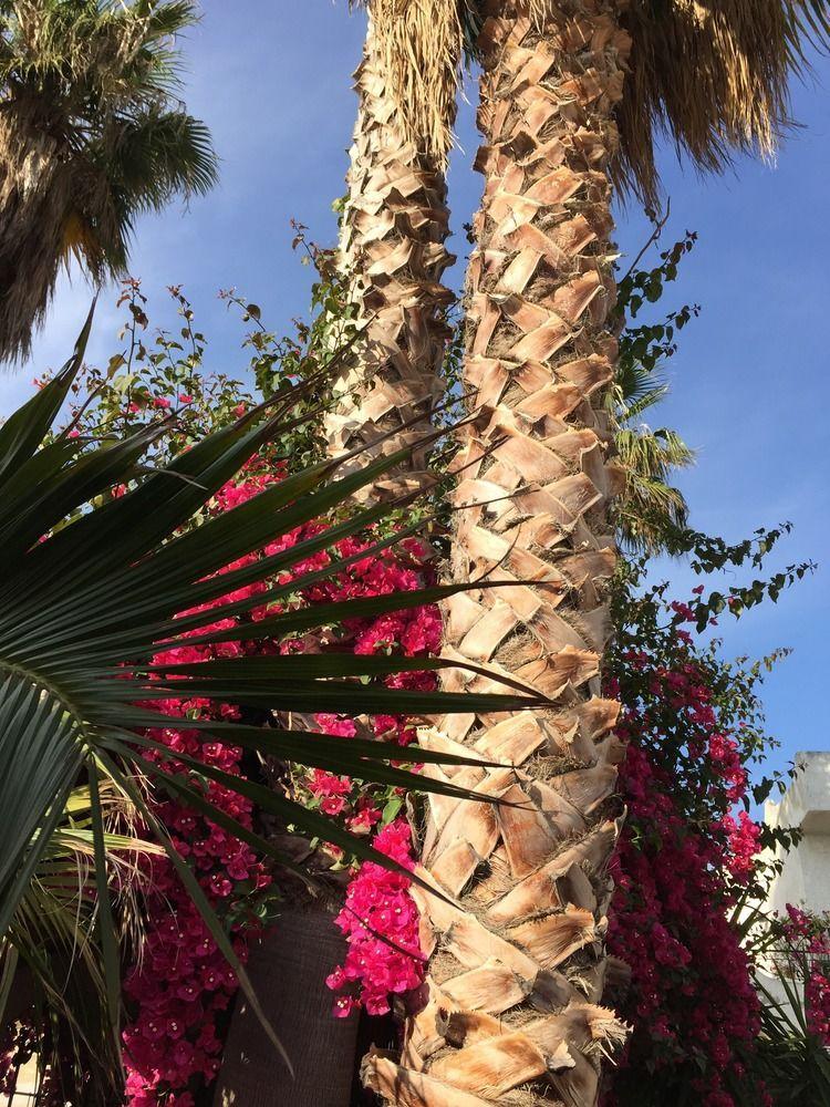 Torregrotta Hotel Redebora מראה חיצוני תמונה